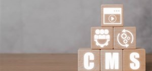 Why all businesses need a website and a website CMS?